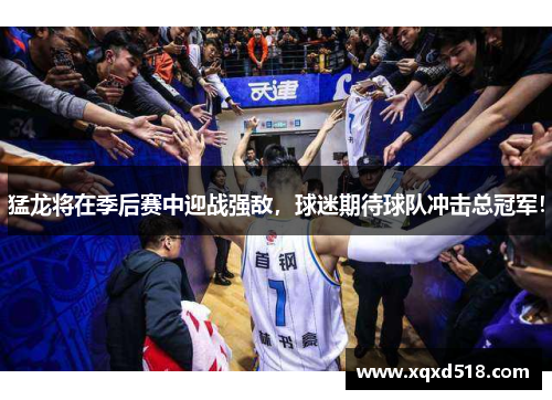 猛龙将在季后赛中迎战强敌，球迷期待球队冲击总冠军！